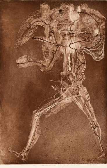 Figure on Dark Ground II