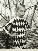 Saltimbanque, The Harlequin