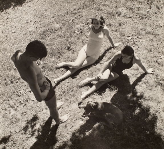 Summer In The Park