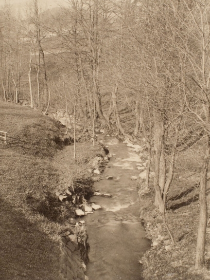 Untitled (Wooded Landscape with Stream)
