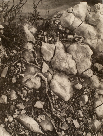 Cracked Ground Rock