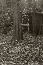 A Walk in the Magic Garden